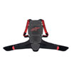 ALPINESTARS NUCLEON KR-3 BACK PROTECTOR