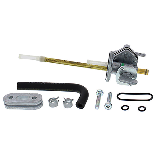 All Balls Petcock Kit