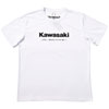 D’COR VISUALS KAWASAKI RACING T-SHIRT
