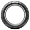 DUNLOP SPORTMAX ROADSPORT 2 RADIAL REAR MOTORCYCLE TIRE
