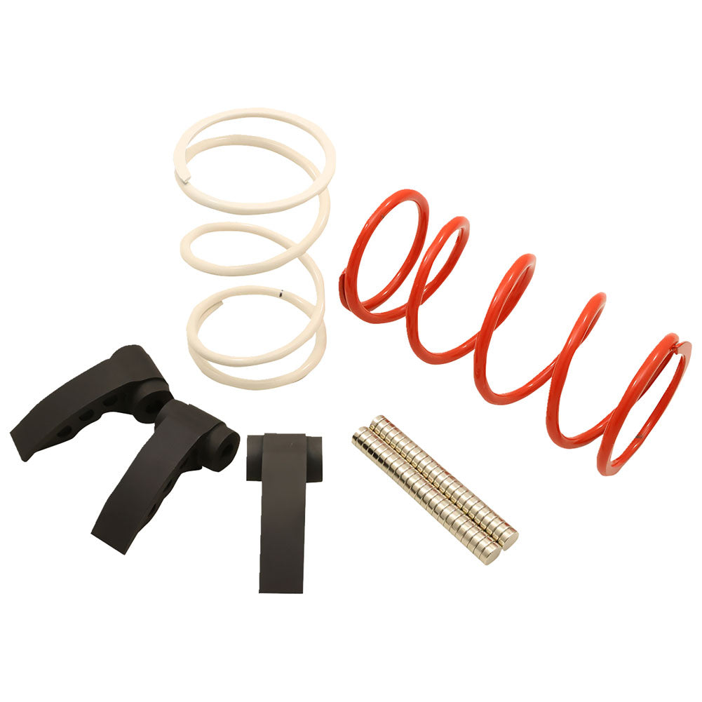 Dynojet Clutch Kit