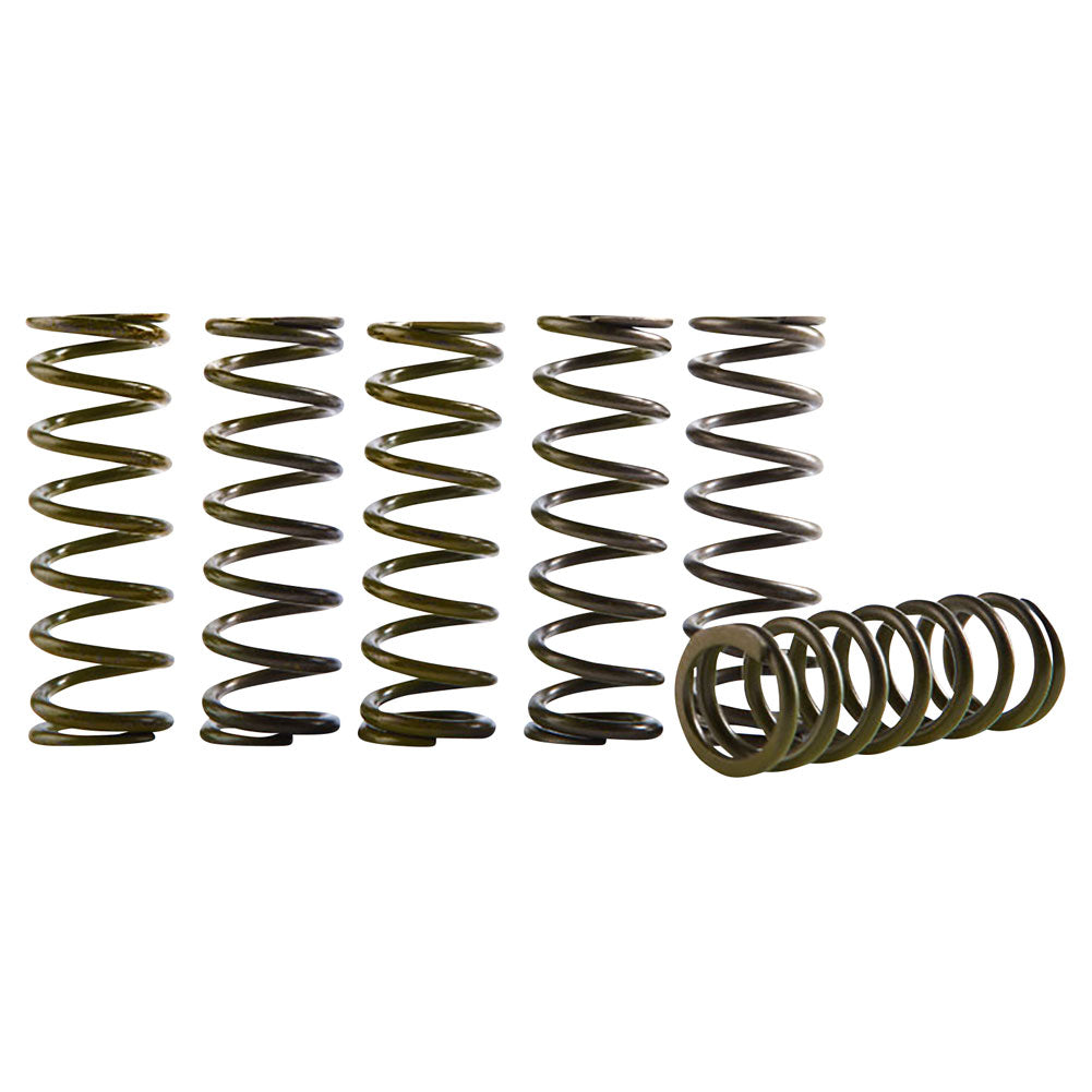 Hinson Hi-Temp Clutch Spring Kit