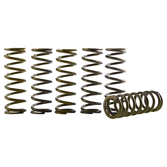 Hinson Hi-Temp Clutch Spring Kit