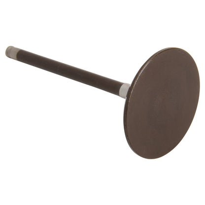 Honda OEM Intake Valve