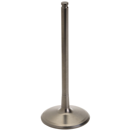Kawasaki OEM Intake Valves