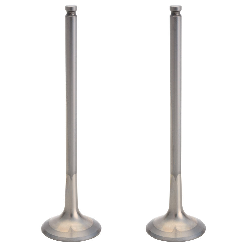 KTM OEM Intake Valves