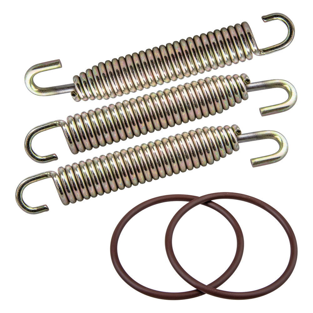 Lexx Exhaust O-ring & Spring Kit