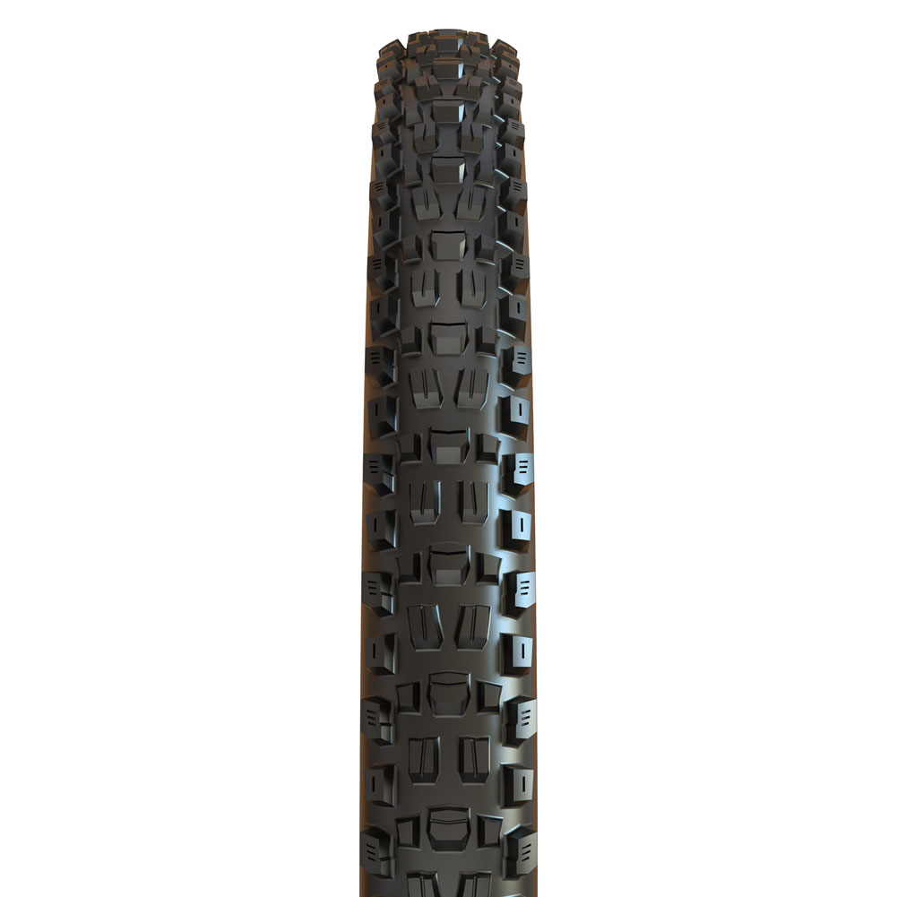 Maxxis Assegai 3C MaxxTerra Compound Tire with EXO+ Casing 29"2.50"