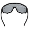 MSR™ RIDGE SUNGLASSES