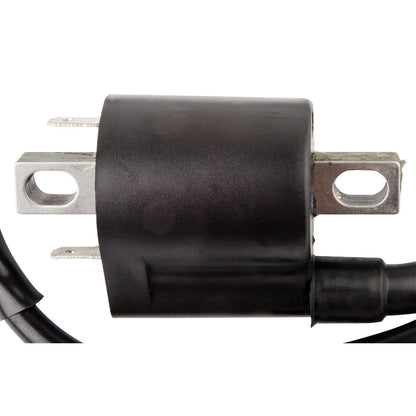 Neutron Ignition Coil
