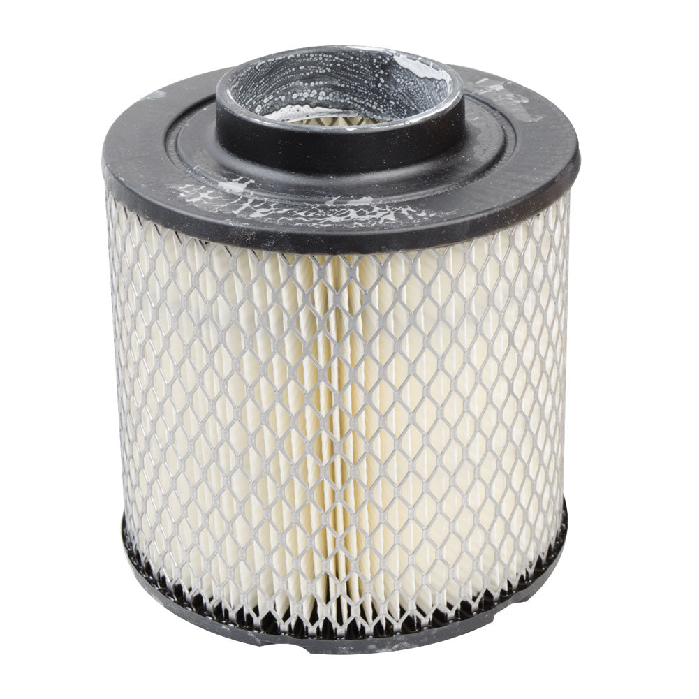 Polaris OEM Air Filter