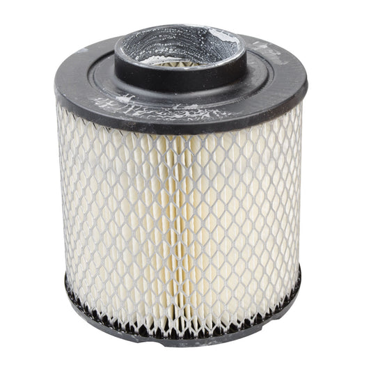 Polaris OEM Air Filter