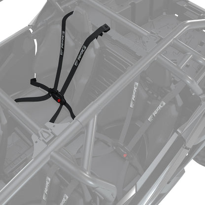Polaris 6-Point Safety Harness Rear Seat