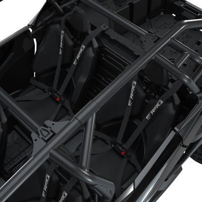 Polaris 6-Point Safety Harness Rear Seat