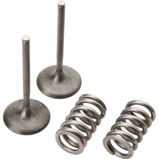 Pro X Steel Intake Valve/Spring Kit