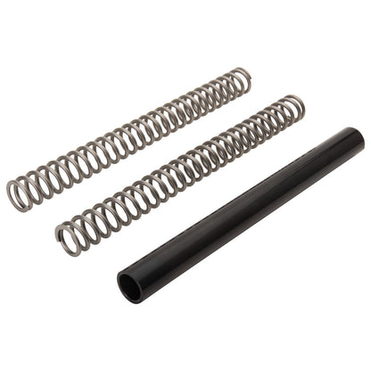 Race Tech Fork Springs