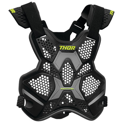 THOR SENTINEL LTD RACE ROOST DEFLECTOR