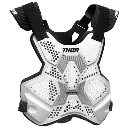 THOR SENTINEL LTD RACE ROOST DEFLECTOR