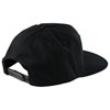 TROY LEE NO ARTIFICIAL COLORS SNAPBACK HAT