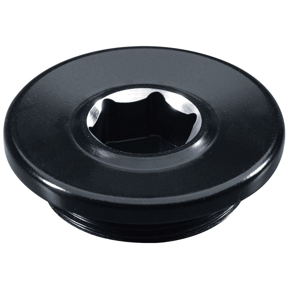 Yamaha GYTR Billet Aluminum Timing Plug