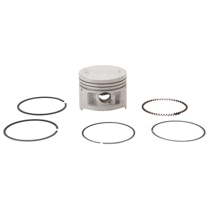 Yamaha OEM Piston Kit
